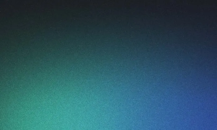 Grilled chicken breast and rice on a white plate